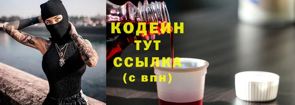 ГАЛЛЮЦИНОГЕННЫЕ ГРИБЫ Абаза