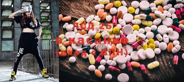 ГАЛЛЮЦИНОГЕННЫЕ ГРИБЫ Абаза