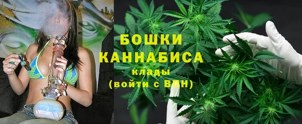 ГАЛЛЮЦИНОГЕННЫЕ ГРИБЫ Абаза